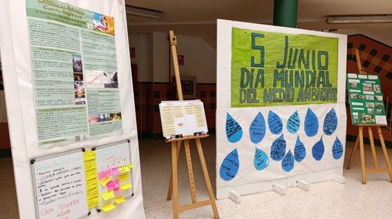 DÍA DEL MEDIOAMBIENTE